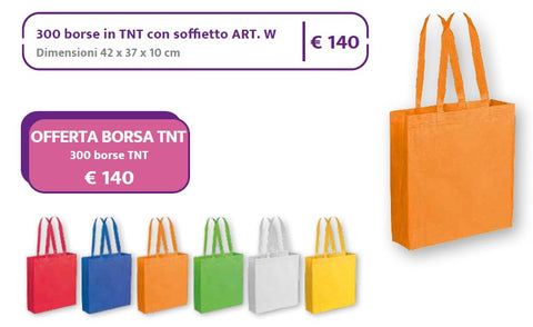 Offerta Borsa TNT